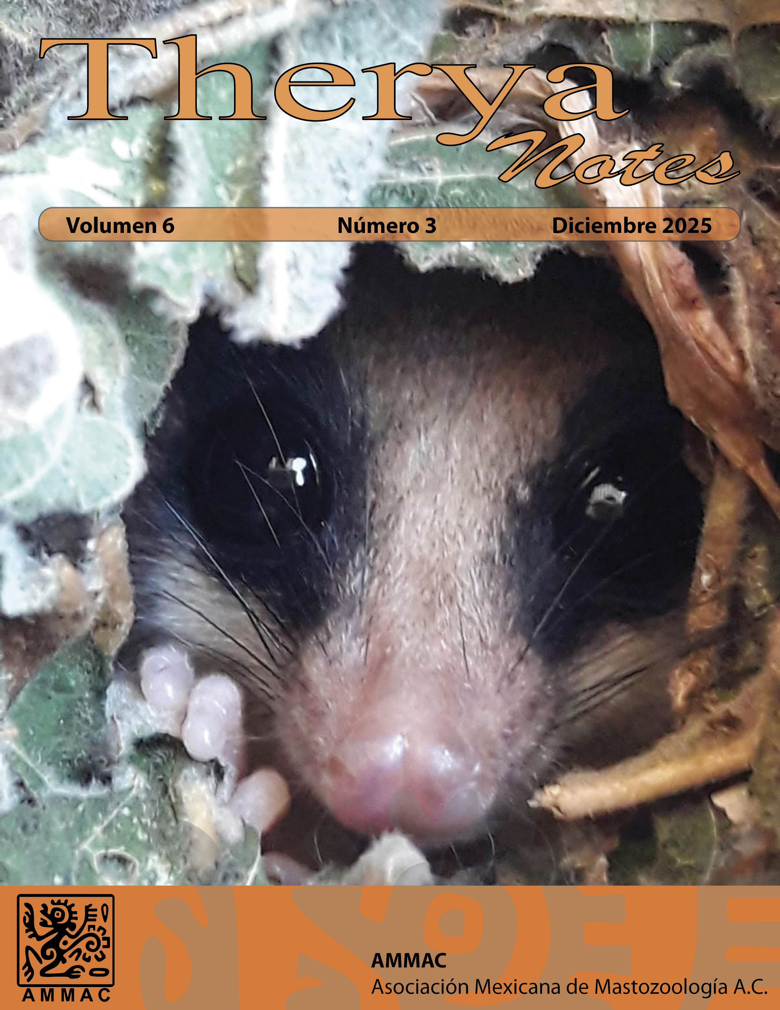 					View Vol. 6 No. 3 (2025)
				